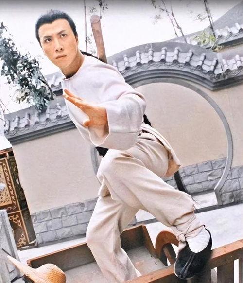 洪熙官甄子丹演员,甄子丹演绎一代宗师的风采