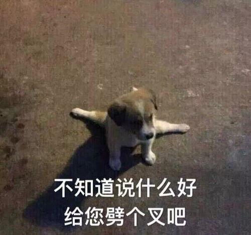 今晚劈不劈表情包,今晚“劈不劈”？表情包带你领略网络新潮流